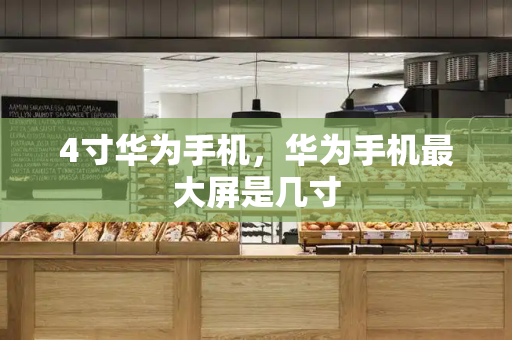 4寸华为手机，华为手机最大屏是几寸-第1张图片-星选测评