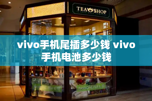 vivo手机尾插多少钱 vivo手机电池多少钱