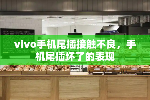 vivo手机尾插接触不良，手机尾插坏了的表现-第1张图片-星选测评
