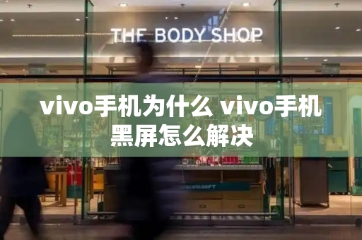 vivo手机为什么 vivo手机黑屏怎么解决-第1张图片-星选测评