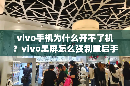 vivo手机为什么开不了机？vivo黑屏怎么强制重启手机-第1张图片-星选测评