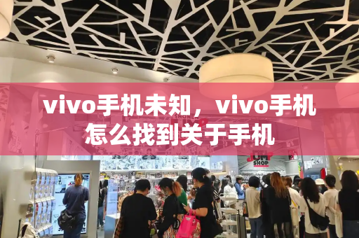 vivo手机未知，vivo手机怎么找到关于手机