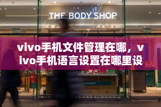 vivo手机文件管理在哪，vivo手机语言设置在哪里设置-第1张图片-星选测评