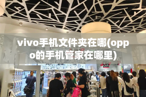 vivo手机文件夹在哪(oppo的手机管家在哪里)