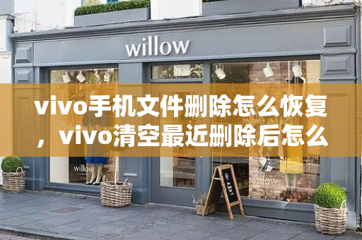 vivo手机文件删除怎么恢复，vivo清空最近删除后怎么恢复