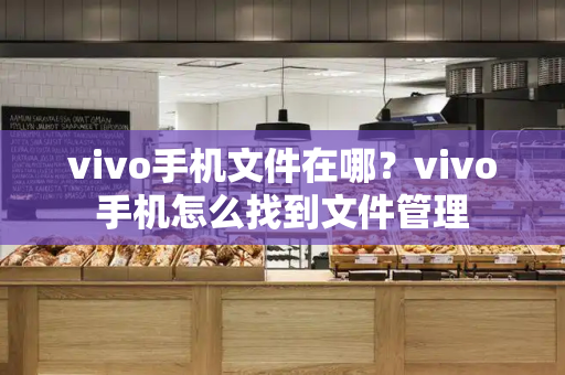 vivo手机文件在哪？vivo手机怎么找到文件管理
