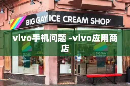 vivo手机问题 -vivo应用商店