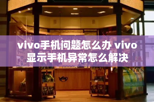 vivo手机问题怎么办 vivo显示手机异常怎么解决