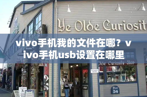 vivo手机我的文件在哪？vivo手机usb设置在哪里-第1张图片-星选测评