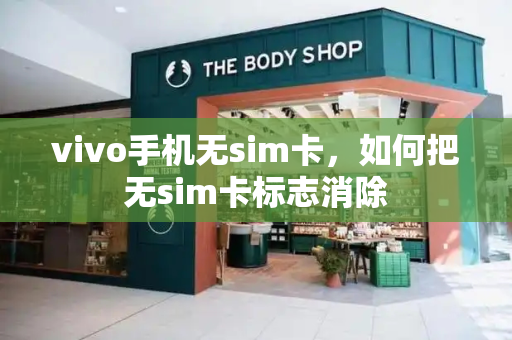 vivo手机无sim卡，如何把无sim卡标志消除