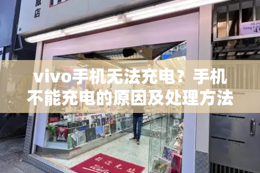 vivo手机无法充电？手机不能充电的原因及处理方法-第1张图片-星选测评