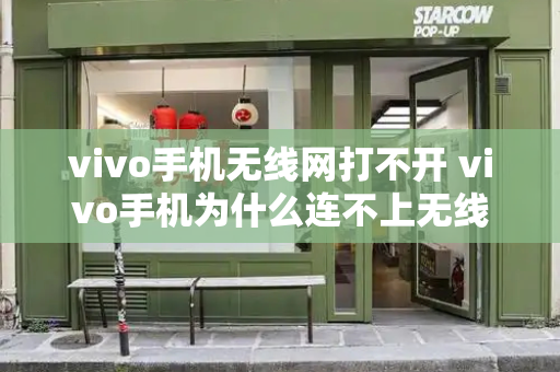 vivo手机无线网打不开 vivo手机为什么连不上无线网