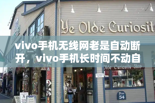 vivo手机无线网老是自动断开，vivo手机长时间不动自动断网