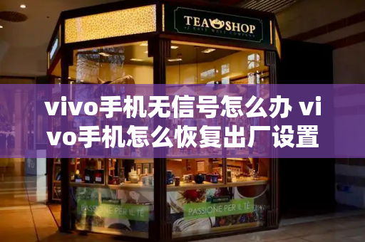 vivo手机无信号怎么办 vivo手机怎么恢复出厂设置-第1张图片-星选测评