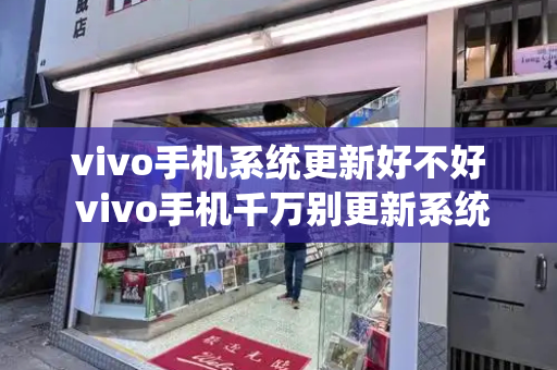 vivo手机系统更新好不好 vivo手机千万别更新系统