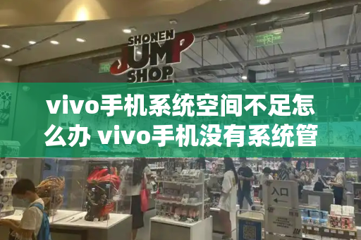 vivo手机系统空间不足怎么办 vivo手机没有系统管理怎么办