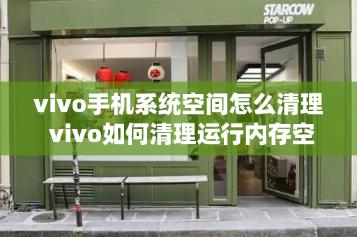 vivo手机系统空间怎么清理 vivo如何清理运行内存空间-第1张图片-星选测评