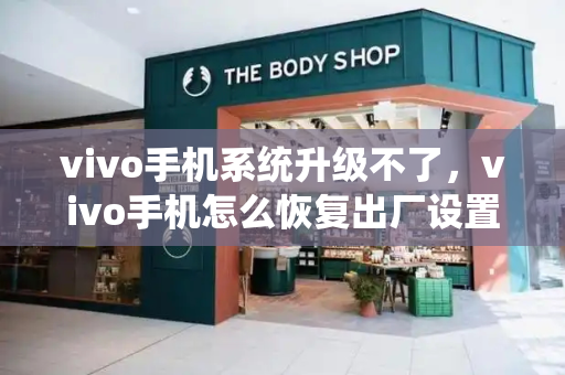 vivo手机系统升级不了，vivo手机怎么恢复出厂设置-第1张图片-星选测评