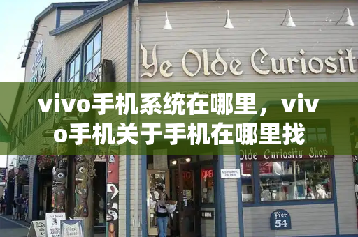 vivo手机系统在哪里，vivo手机关于手机在哪里找