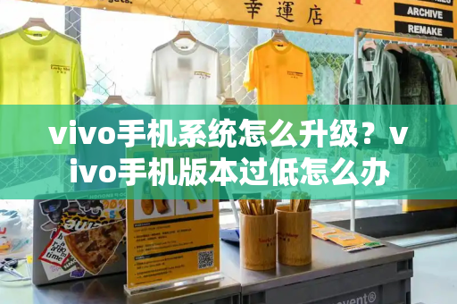 vivo手机系统怎么升级？vivo手机版本过低怎么办