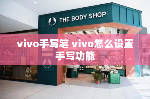 vivo手写笔 vivo怎么设置手写功能