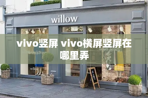 vivo竖屏 vivo横屏竖屏在哪里弄-第1张图片-星选测评