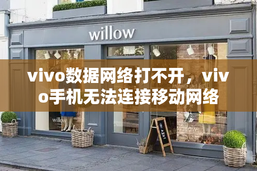 vivo数据网络打不开，vivo手机无法连接移动网络-第1张图片-星选测评