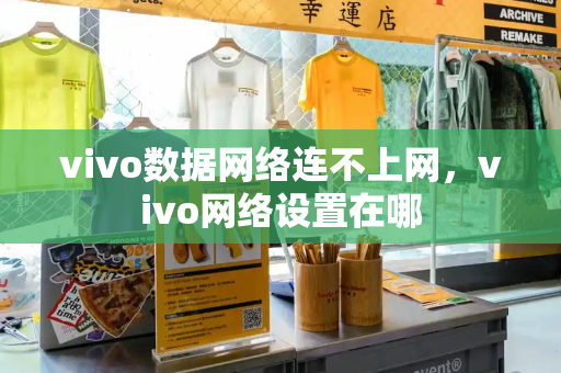 vivo数据网络连不上网，vivo网络设置在哪