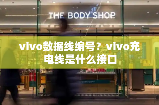 vivo数据线编号？vivo充电线是什么接口