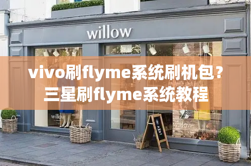 vivo刷flyme系统刷机包？三星刷flyme系统教程-第1张图片-星选测评