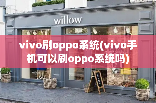 vivo刷oppo系统(vivo手机可以刷oppo系统吗)