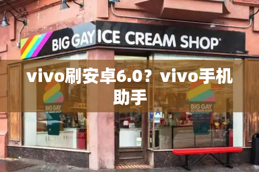 vivo刷安卓6.0？vivo手机助手-第1张图片-星选测评
