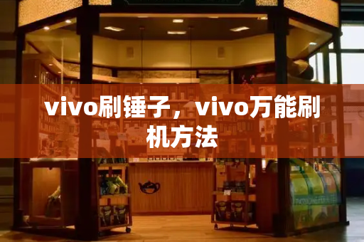 vivo刷锤子，vivo万能刷机方法-第1张图片-星选测评