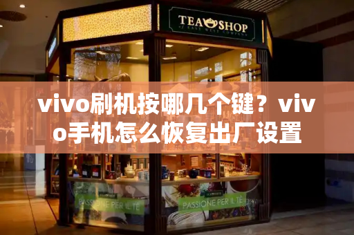 vivo刷机按哪几个键？vivo手机怎么恢复出厂设置-第1张图片-星选测评