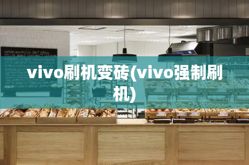 vivo刷机变砖(vivo强制刷机)-第1张图片-星选测评