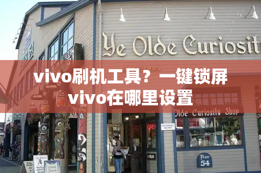 vivo刷机工具？一键锁屏vivo在哪里设置-第1张图片-星选测评