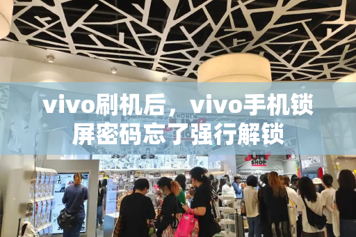 vivo刷机后，vivo手机锁屏密码忘了强行解锁-第1张图片-星选测评