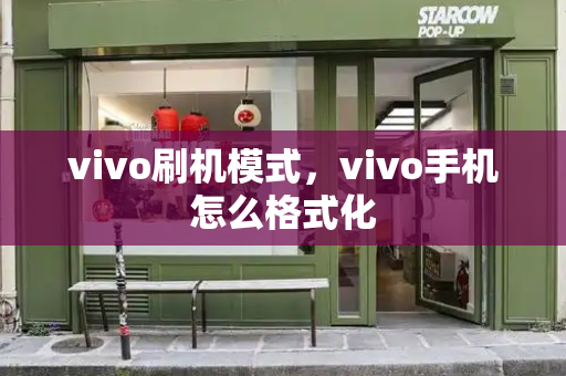 vivo刷机模式，vivo手机怎么格式化-第1张图片-星选测评