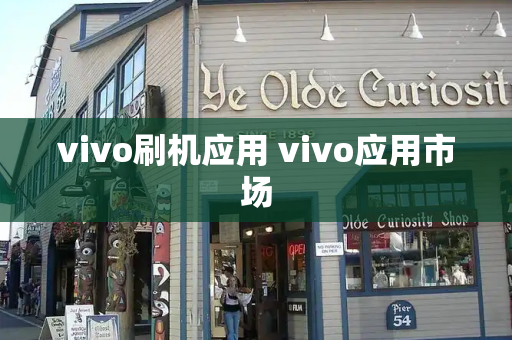 vivo刷机应用 vivo应用市场-第1张图片-星选测评