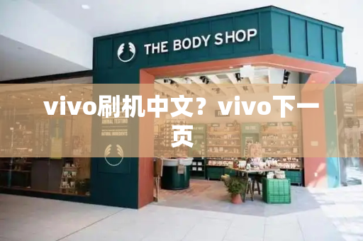 vivo刷机中文？vivo下一页