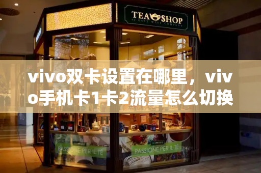 vivo双卡设置在哪里，vivo手机卡1卡2流量怎么切换