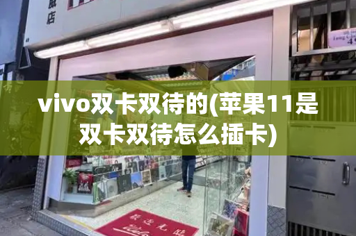 vivo双卡双待的(苹果11是双卡双待怎么插卡)