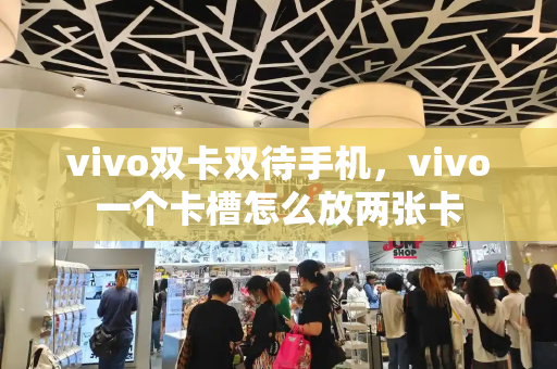 vivo双卡双待手机，vivo一个卡槽怎么放两张卡-第1张图片-星选测评