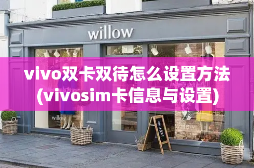 vivo双卡双待怎么设置方法(vivosim卡信息与设置)-第1张图片-星选测评
