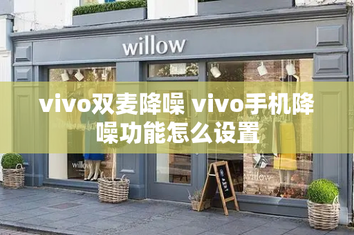 vivo双麦降噪 vivo手机降噪功能怎么设置