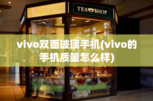 vivo双面玻璃手机(vivo的手机质量怎么样)-第1张图片-星选测评