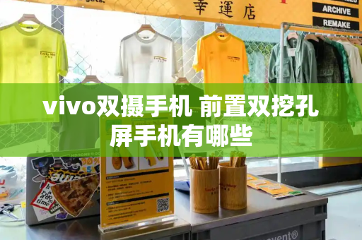 vivo双摄手机 前置双挖孔屏手机有哪些