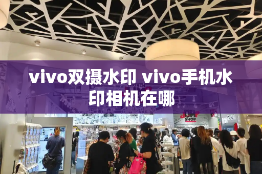 vivo双摄水印 vivo手机水印相机在哪-第1张图片-星选测评