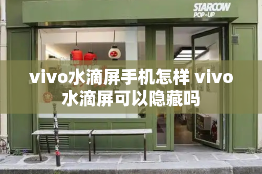 vivo水滴屏手机怎样 vivo水滴屏可以隐藏吗