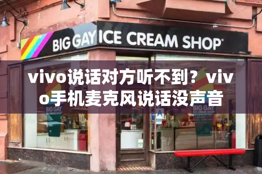 vivo说话对方听不到？vivo手机麦克风说话没声音-第1张图片-星选测评